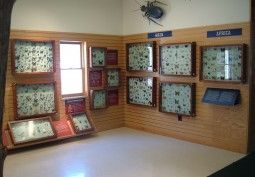 Nixon Display 06 026